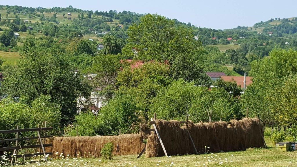 Pensiunea Simi Мойсей Экстерьер фото